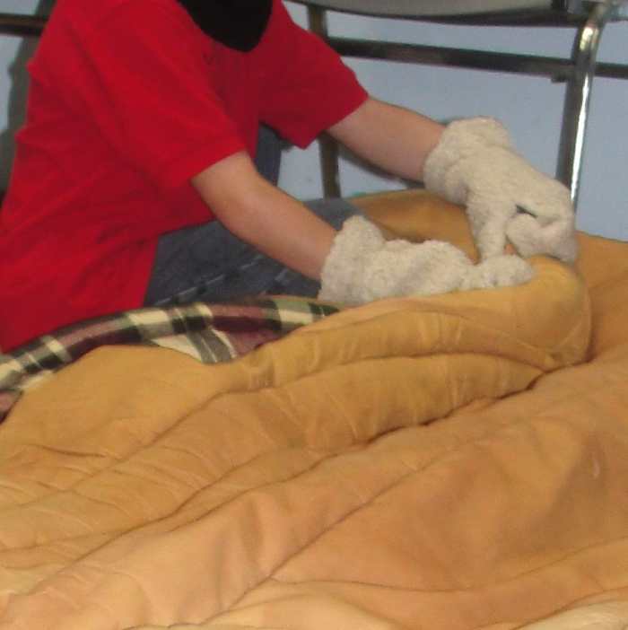 polar-exploration-lesson