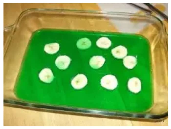 Edible leaf structure: epidermis and stomata