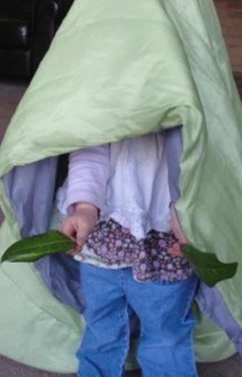 The cotyledons (seed leaves) emerge. (Have the child stick out the 2 leaves from out of the sleeping bag.)
