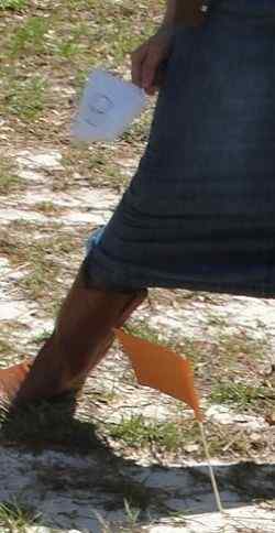 Oklahoma Land Run Activity