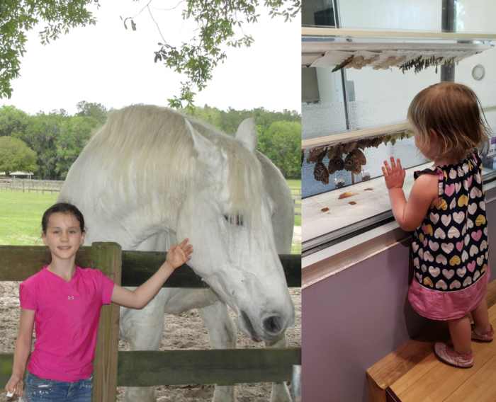 Mill Creek Farm & Museum of Natural History