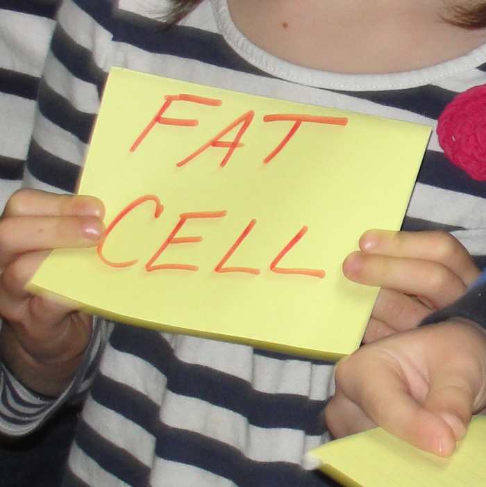 Each child is assigned a cell.