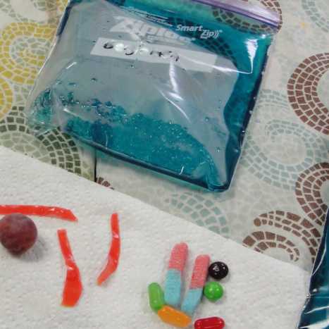 Items ready to be assembled into an edible cell model