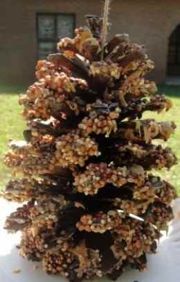 Pine cone bird feeders