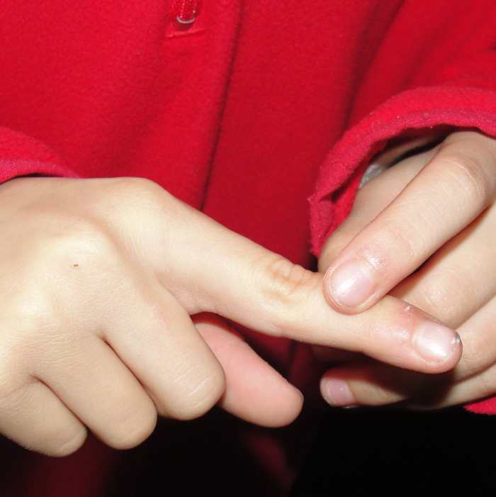 How many bones can you count in your body?