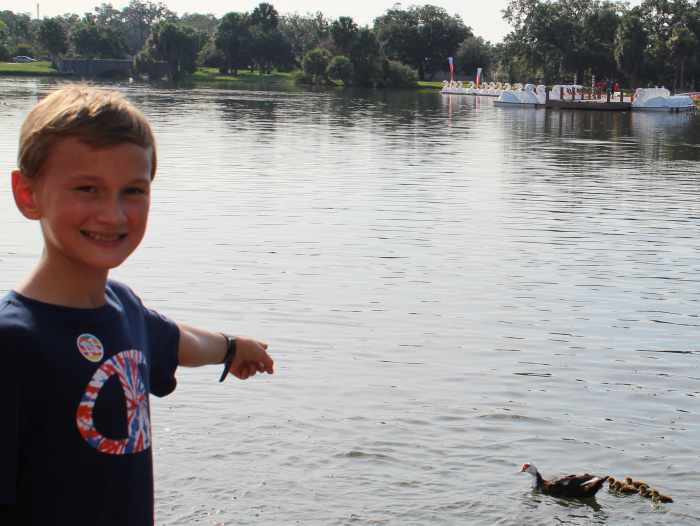 We enjoyed seeing ducklings as well as we walked on the City Park trail.