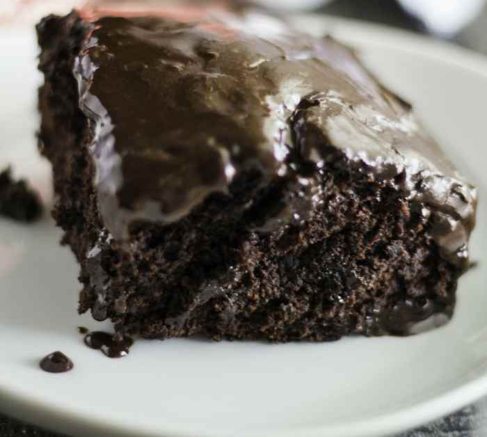 Baked Depression Cake