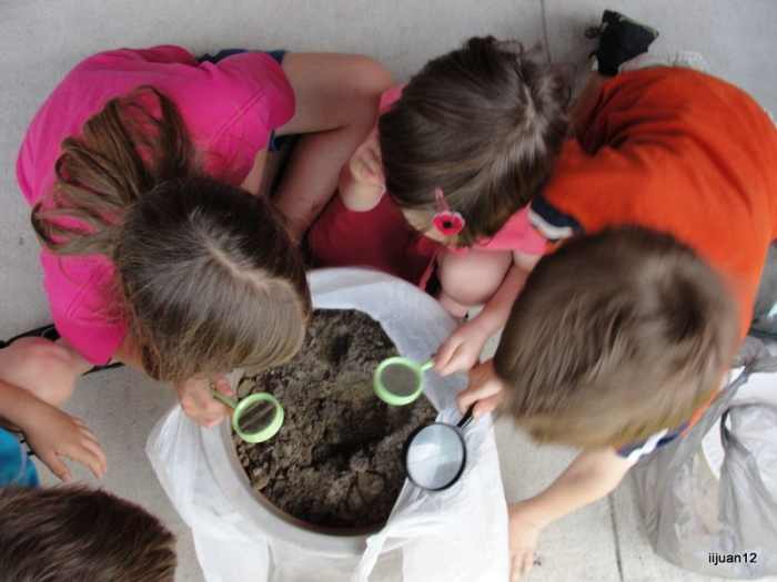 how-to-start-a-homeschool-co-op