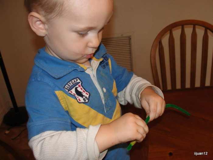 Stringing Cheerios onto pipe cleaners during toddler time