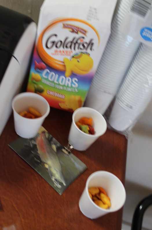 Goldfish cracker "salmon" snack