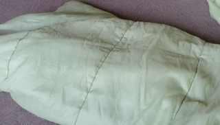 Help the child completely crawl into a sleeping bag. This is the testa/seed coat. The child is a dormant seed. Once it gets water [pretend to pour a bottle of water over the sleeping bag], warmth, and air, it starts to grow, or germinate.