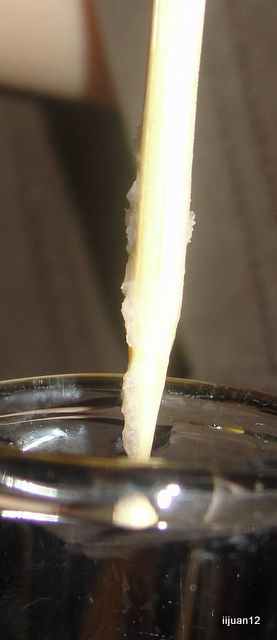 DNA from a strawberry