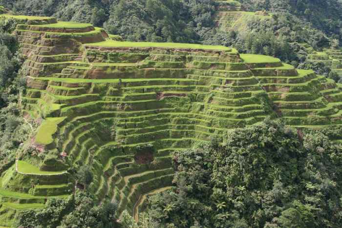 Banaue rice terraces (N. Luzon, Philippines)