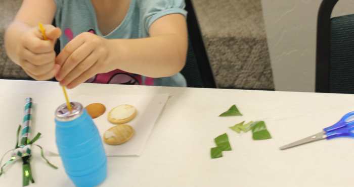 Types of insect mouth designs