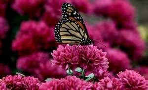 learning-about-connecticut