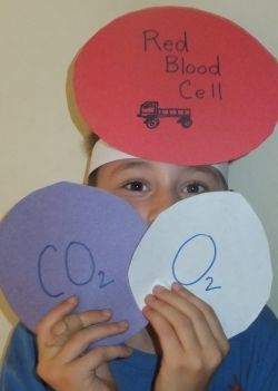 Purpose of Respiratory System Game