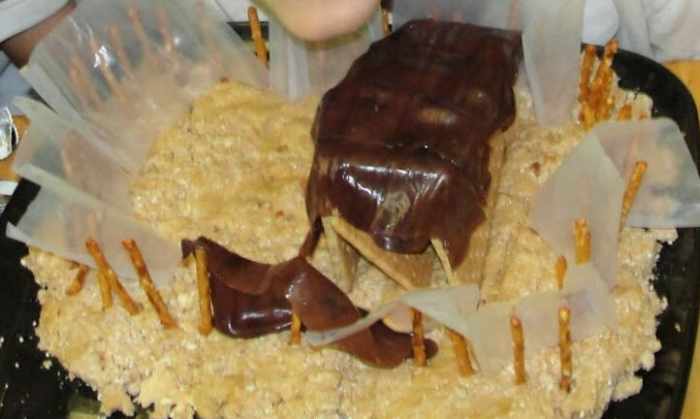 Edible tabernacle model