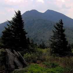 Black Mountains of North Carolina