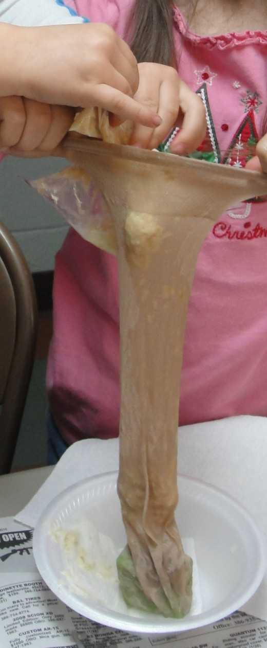 Small intestine demo using pantyhose or a sock