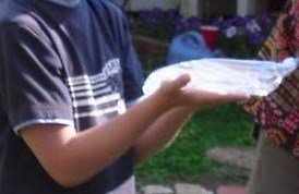 Demonstrating how faults cause tsunamis