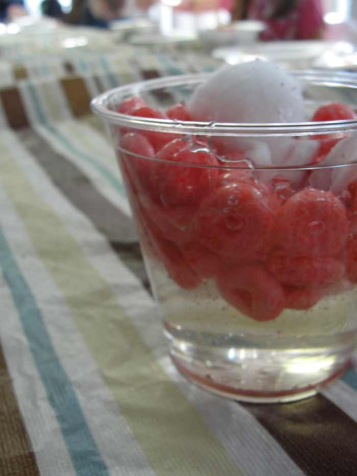 Blood model made using corn syrup, red Fruit Loops, a cotton ball, and crumbs from a purple Fruit Loop