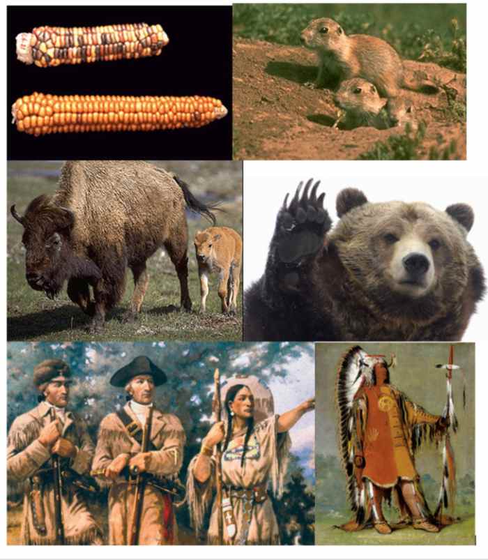 Set 1 of pictures for journal