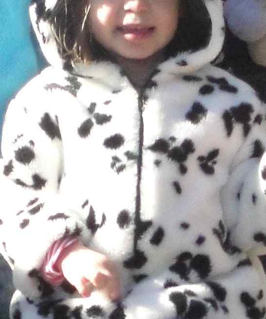 polar-exploration-lesson