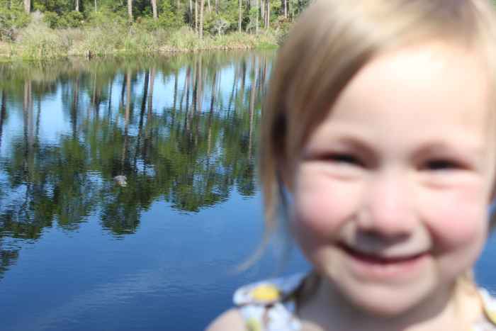 My kids loved seeing turtles & an alligator off the first boardwalk.