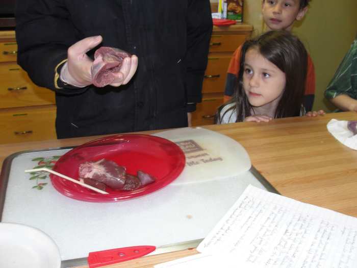 Exploring the heart after the dissection