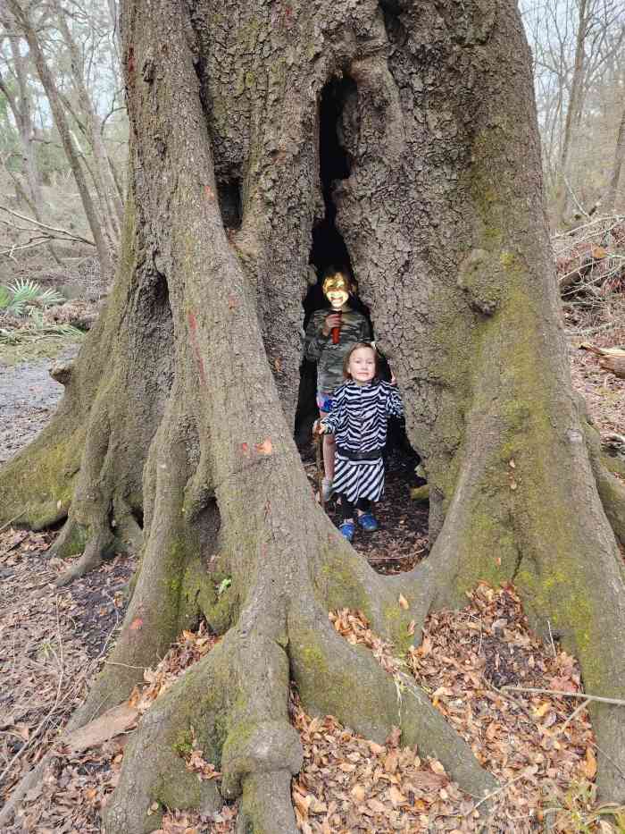 activities-for-kids-field-trips-in-live-oak-florida