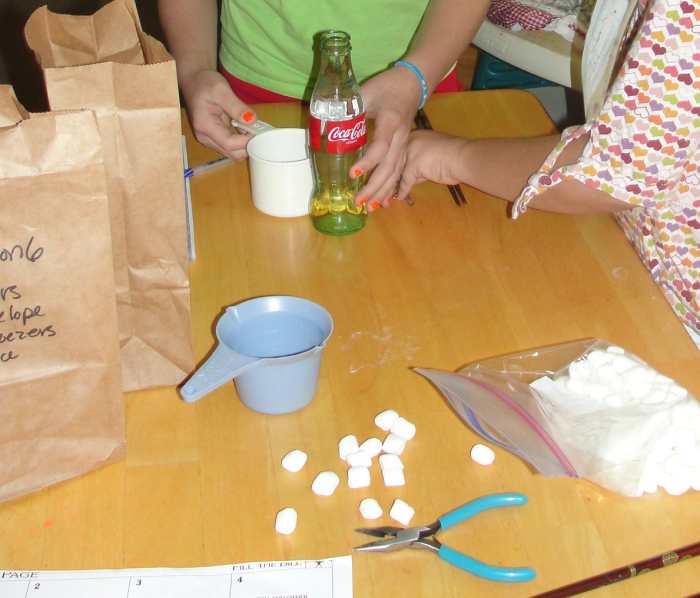 Type of bird beaks activity