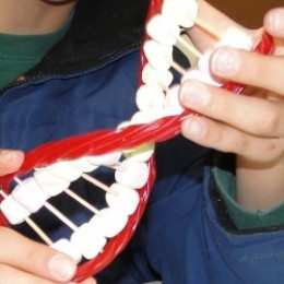 Creating an edible DNA model during Lesson 1: Cells and DNA