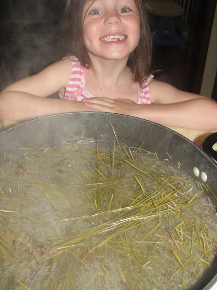 Pine needle tea simmering * My children LOVED the pine needle tea and continue to request it. 