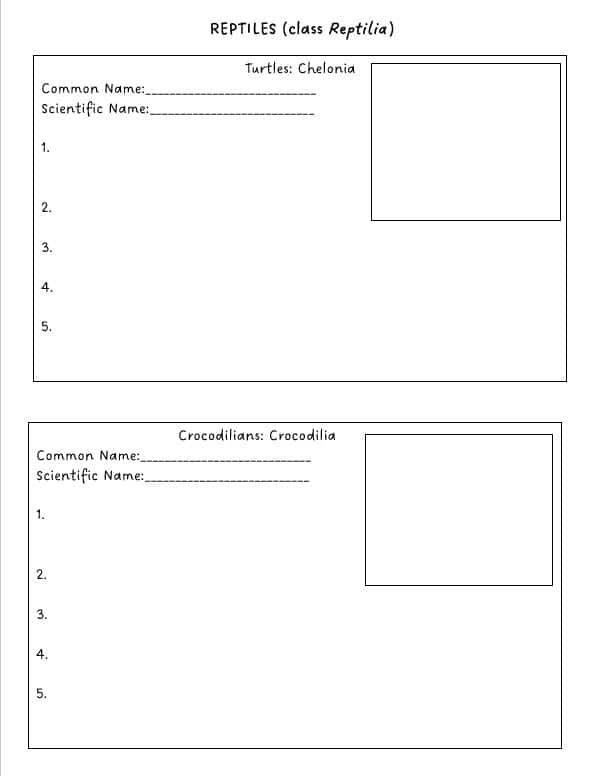 fish-dissection-lesson