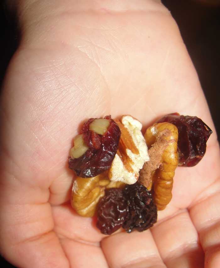 Dried berries and nuts for Deciduous Forest Trail Mix 