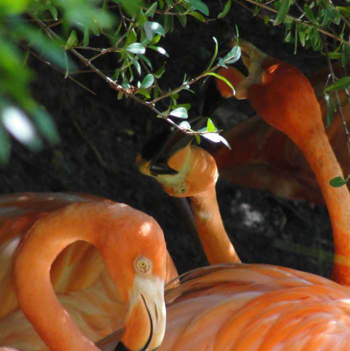 southern-states-lesson