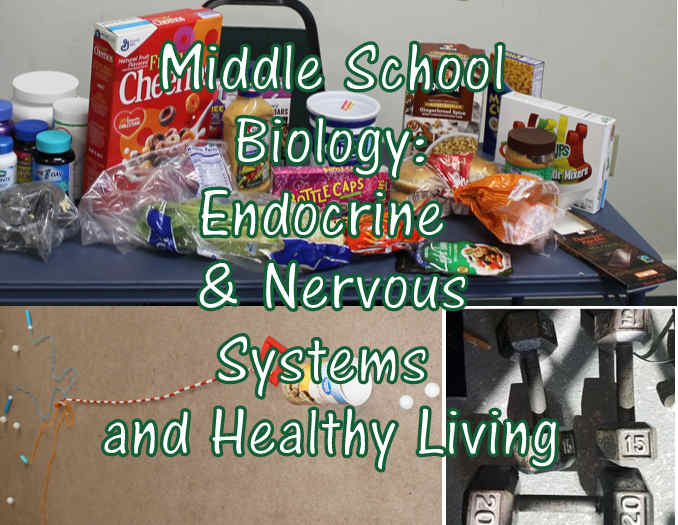 Middle School Biology Lesson on the Endocrine & Nervous Systems and on Healthy Living