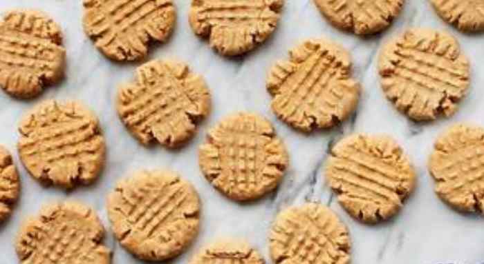 Eating George Washington Carver's Peanut Butter Cookies while learning about the Fabaceae/Pea/Legume Family