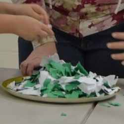 How your white blood cells divide and destroy