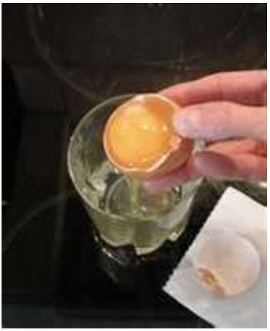 Making egg yolk paint