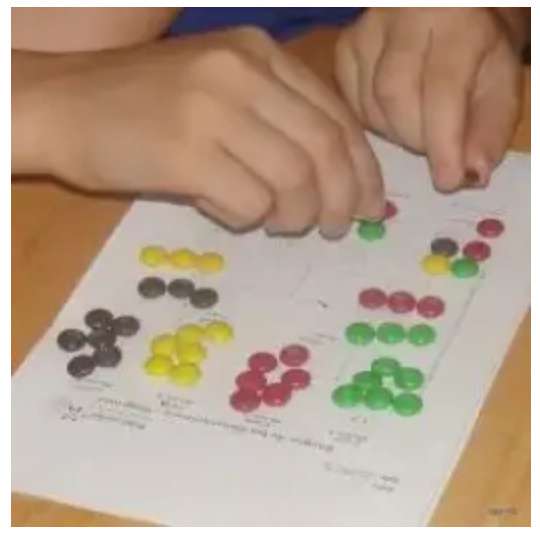 Observing how traits are passes through multiple generations by conducting the M&M Gingerbread Activity