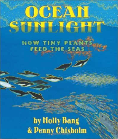 Ocean Sunlight: How Tiny Plants Feed the Seas by Molly Bang - Images are from amazon.com unless otherwise noted.