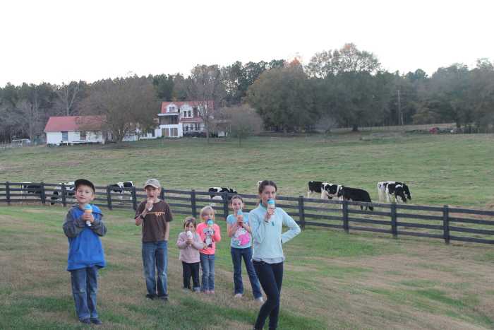 Enjoying their ice cream next to the cows that helped to make the ice cream