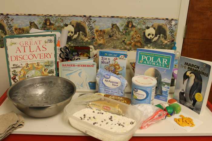 polar-exploration-lesson