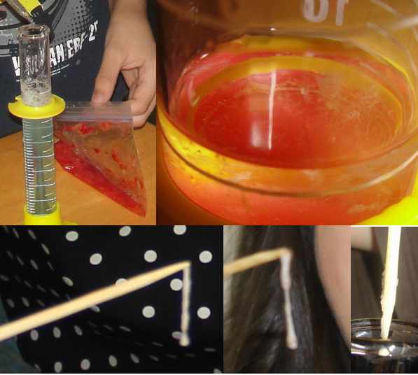 Extracting DNA from a strawberry