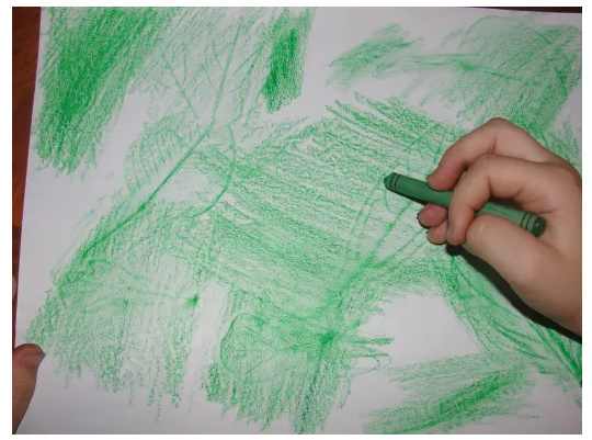 Making a leaf rubbing