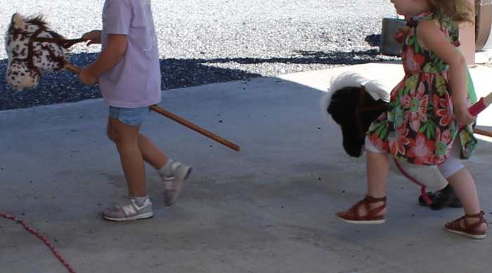 horse-lesson-for-kindergarten