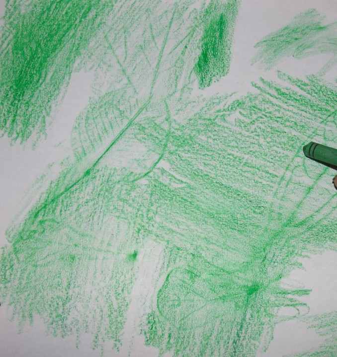 Creating leaf rubbings