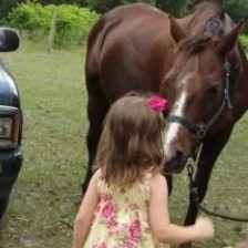 horse-lesson-for-kindergarten
