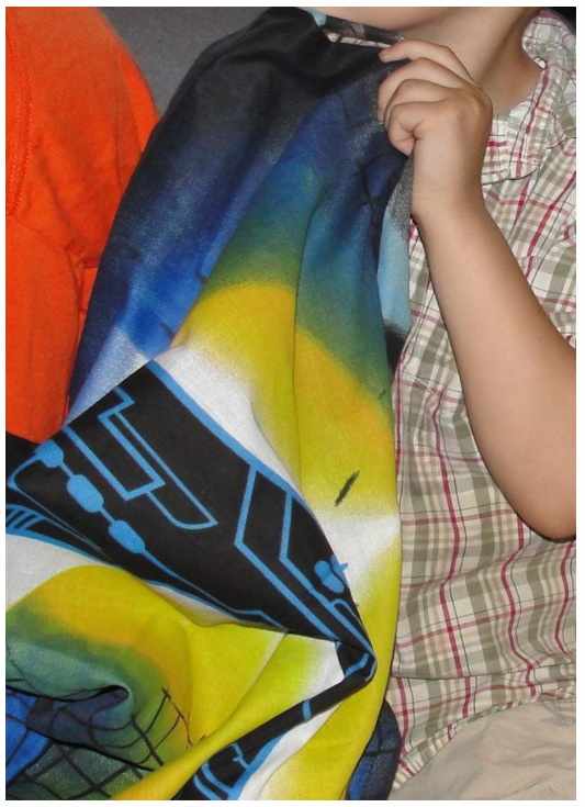 Use your sense of touch to guess what is in the pillow case 